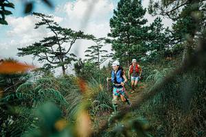 BIB: 
                            <button type="button" onclick="openModal(25258569)" class="btn btn-primary btn-sm float-right btn-popup" data-toggle="modal" data-target=".modal-high-quality">
                        <i class="fas fa-shopping-cart"></i> Add to Cart
                    </button>
                                            <button type="button" onclick="isThisMe(25258569, true)" class="btn btn-success btn-sm float-right btn-popup btn-isme hidden" data-toggle="tooltip" data-placement="bottom" title="นี่คือรูปของคุณใช่ไหม คลิกที่นี่เพื่อเอาเข้าอัลบั้ม">
                        <i class="fas fa-plus"></i> Add to album
                    </button>
                    <button type="button" onclick="isThisMe(25258569, false)" class="btn btn-warning btn-sm float-right btn-popup btn-isnotme hidden">
                        <i class="fas fa-ban"></i> Remove from album
                    </button>